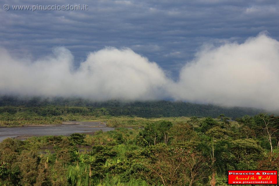 ECUADOR - Foresta Amazzonica - 02.jpg